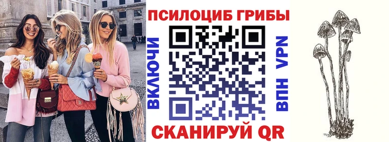 Галлюциногенные грибы прущие грибы  наркотики  Котельники 